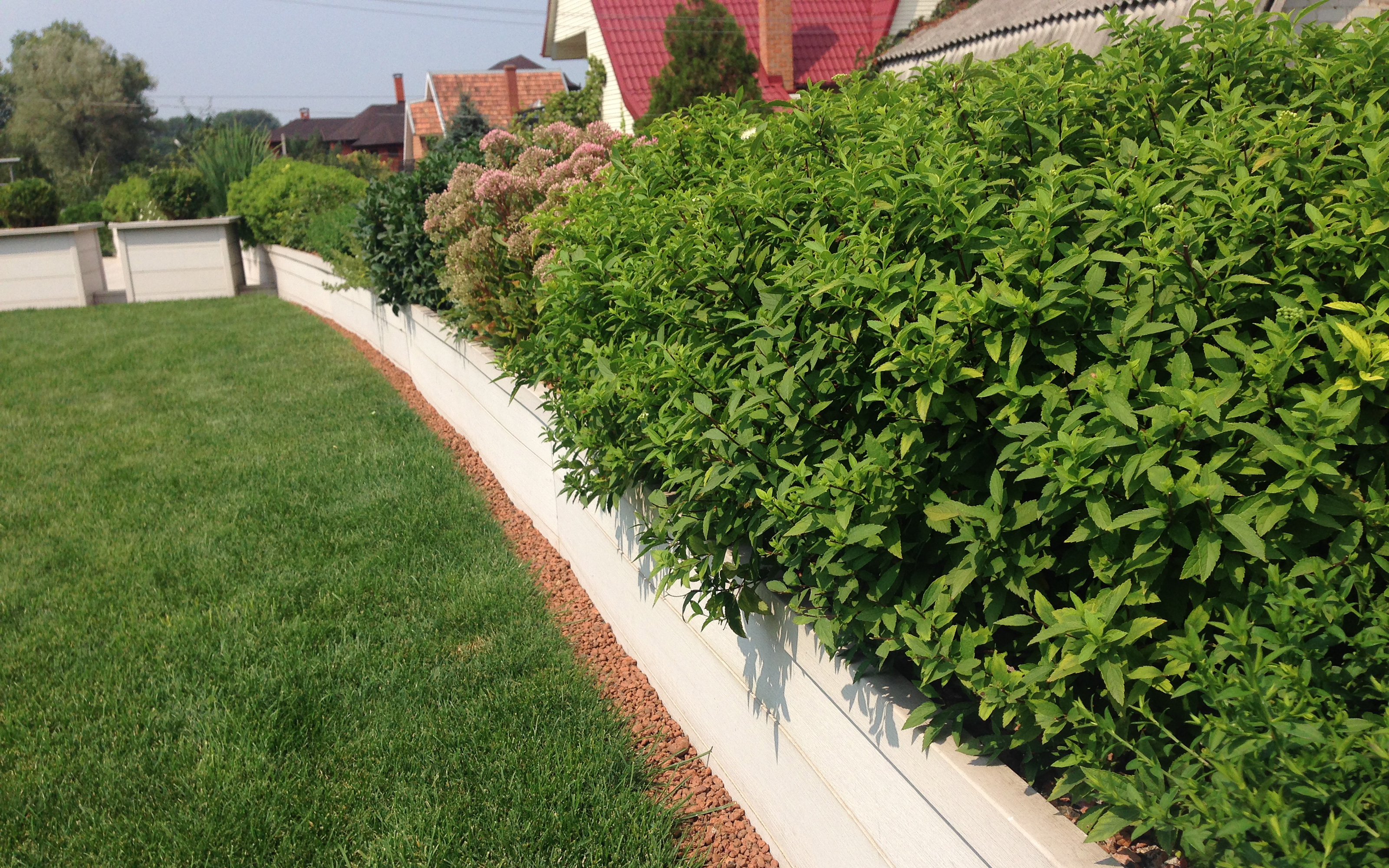 Roof garden with lawn and bushes